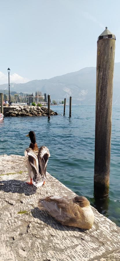 Riva Del Garda Nest Leilighet Eksteriør bilde